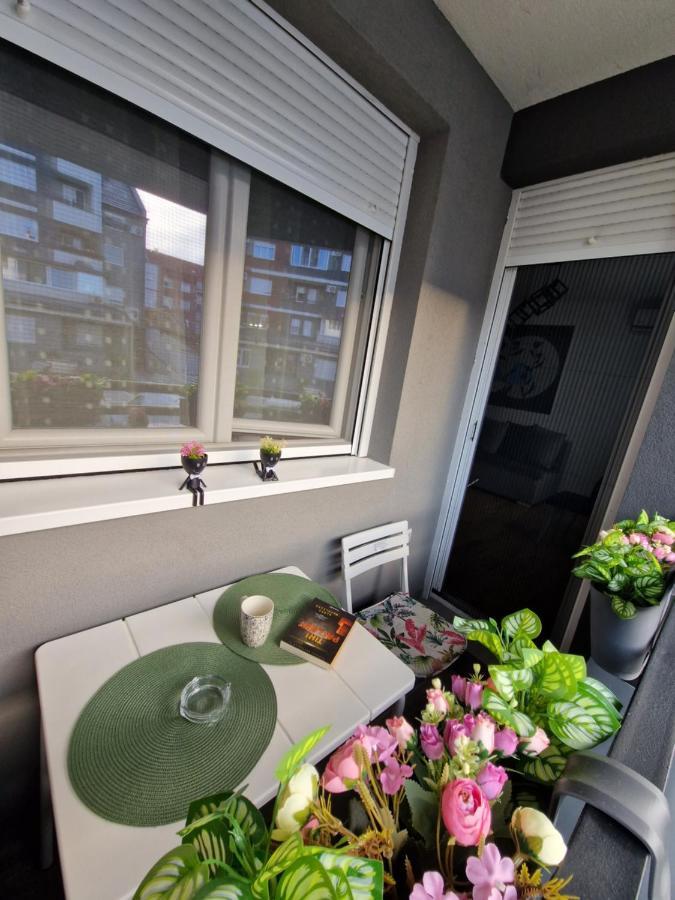 Apartman Astra Sremska Mitrovica Bagian luar foto